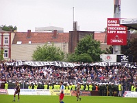 Pauli vs HSV2 05-06 046